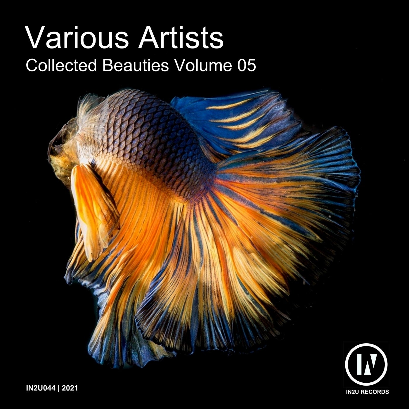 VA – Collected Beauties, Vol. 5 [IN2U044]